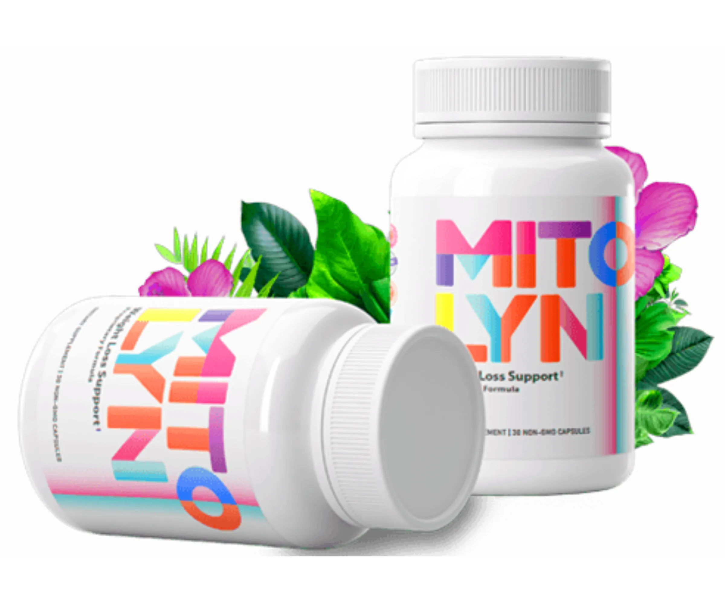 Mitolyn weight management supplement bottle
