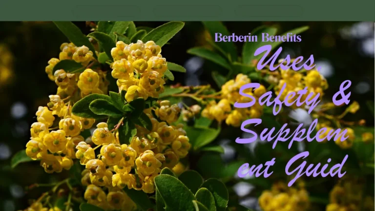 Berberine benefits